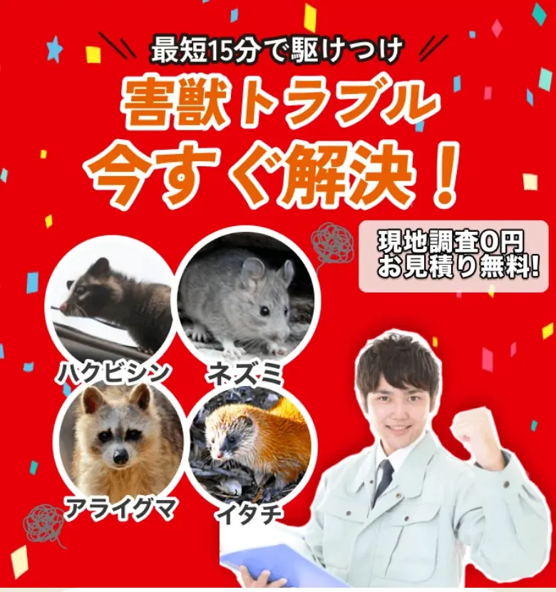 公式サイトの画面の一部