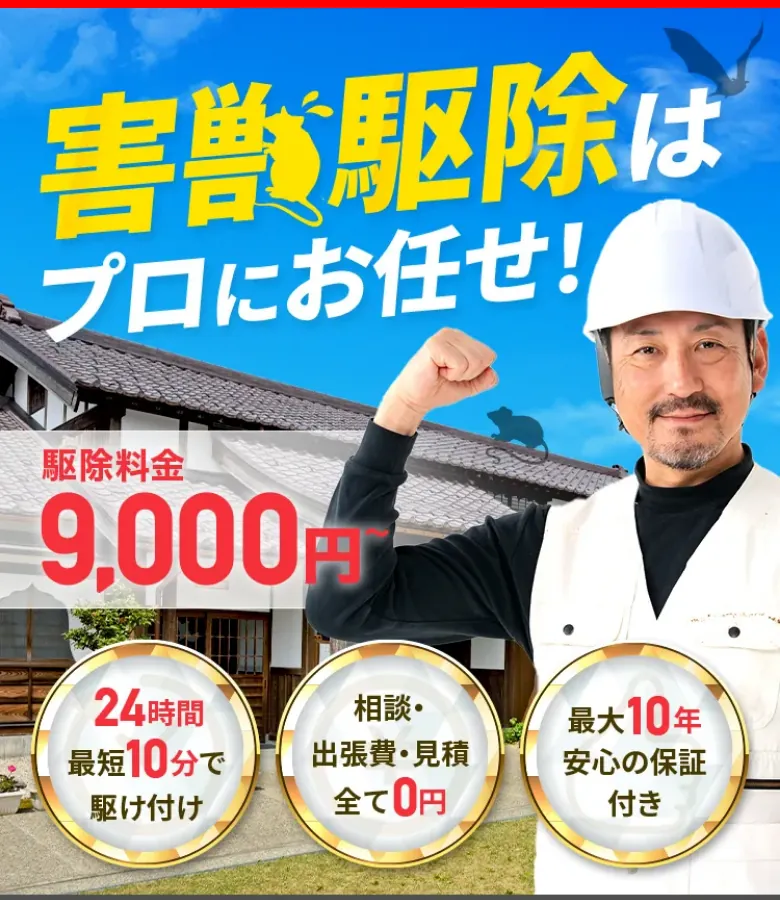 公式サイトの画面の一部